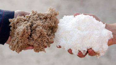 Bleached and unbleached pulp from Vallvik Mill