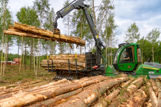 Våra skogstjänster