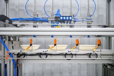 Molded trays in the production line