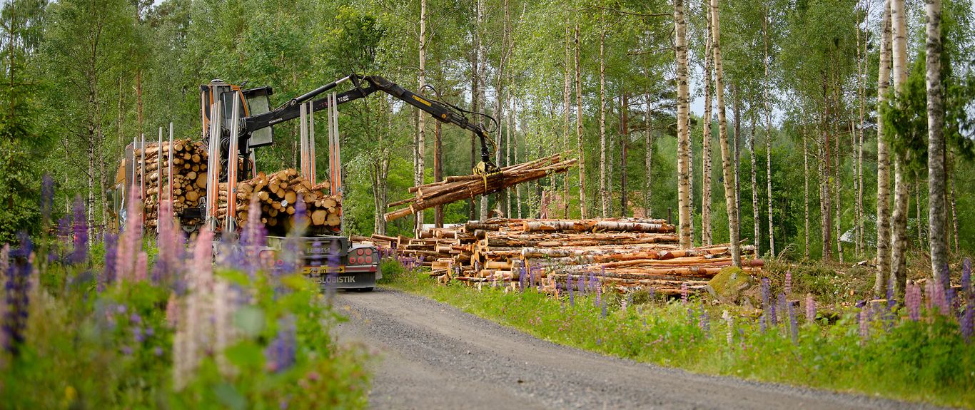 Skogsmaskin och ved