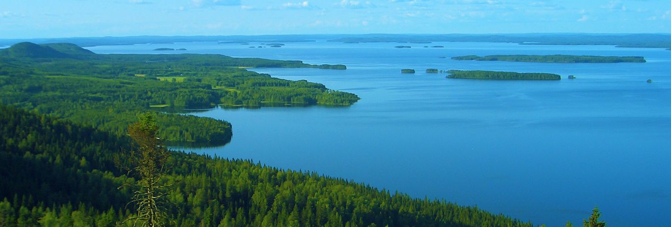 forest av lake in Sweden